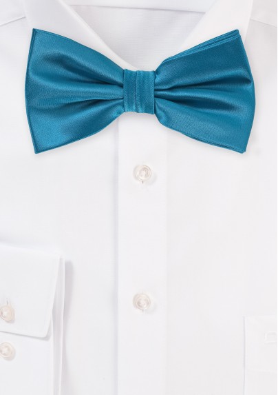 Light Teal Blue Colored Bow Tie