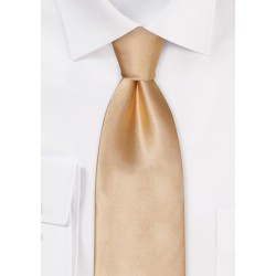 Solid Champagne Color Kids Tie